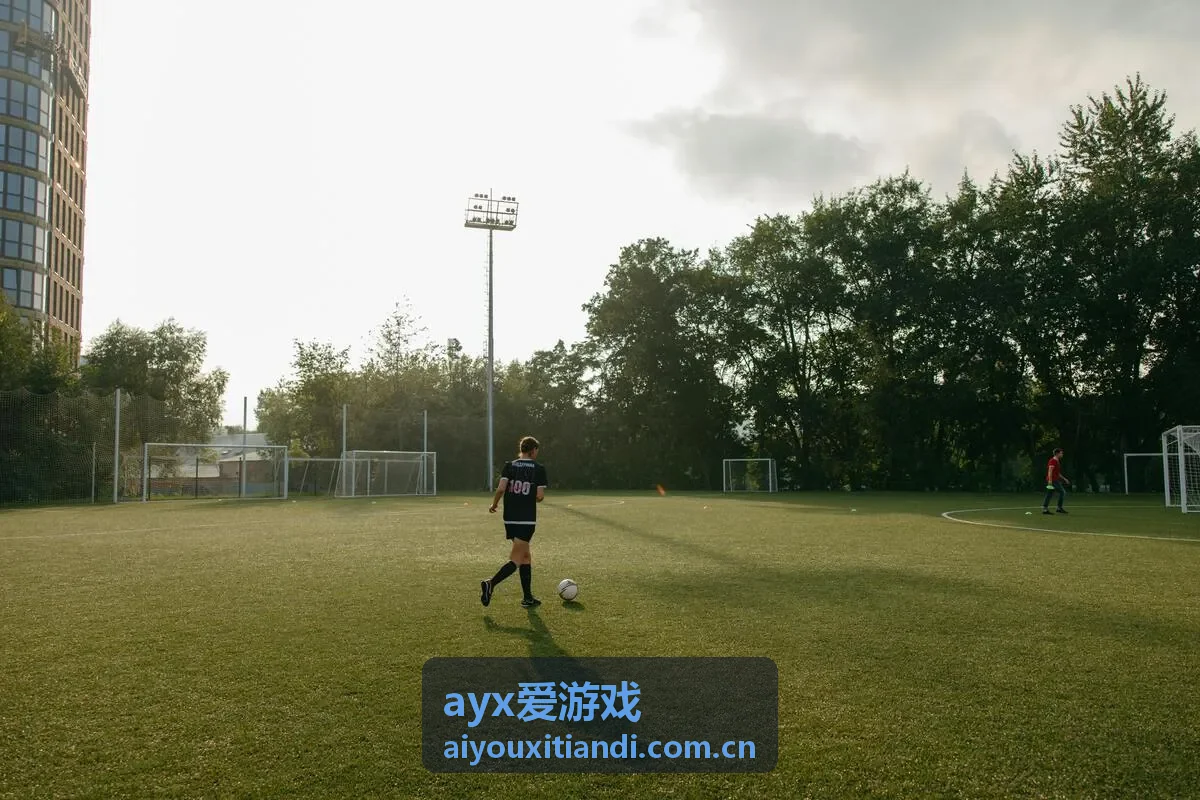 ayx爱游戏 - Balenciaga风格臻选